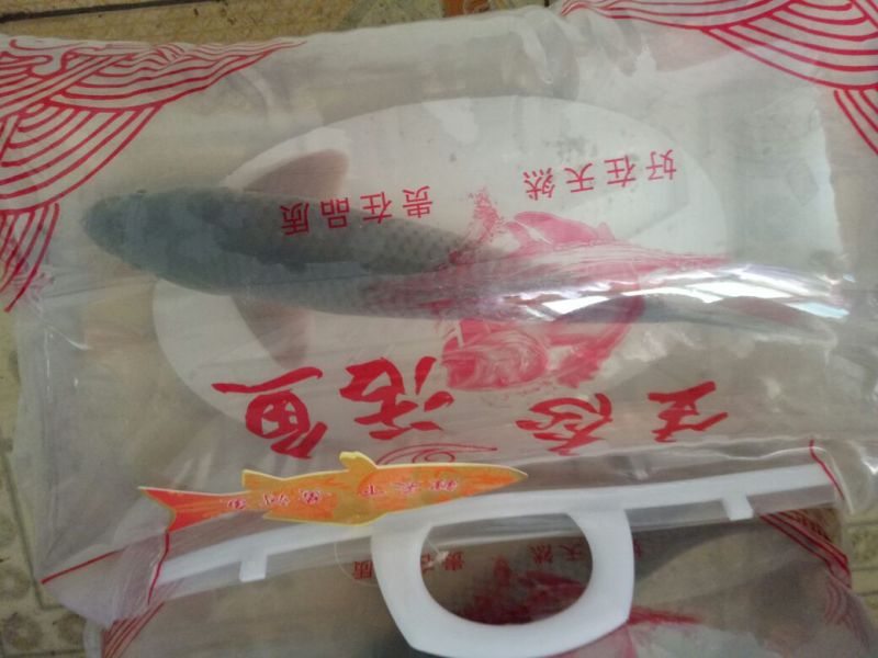 黄鲤鱼食用2~3公斤