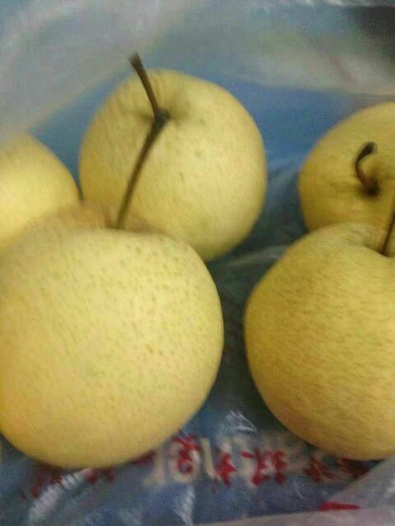 酥梨纸箱