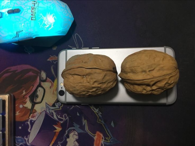 新疆核桃
