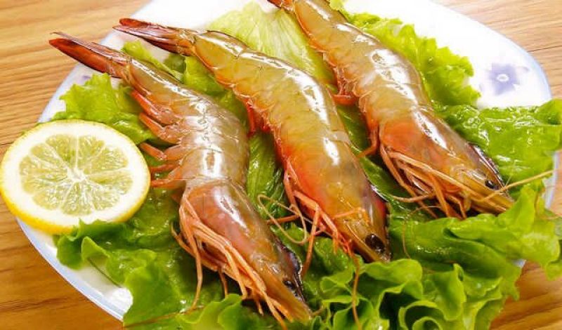 青虾食用16~20只/kg