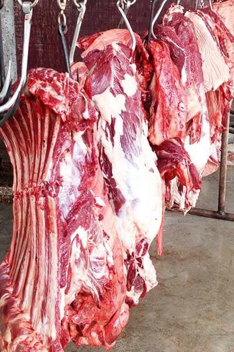 驴肉