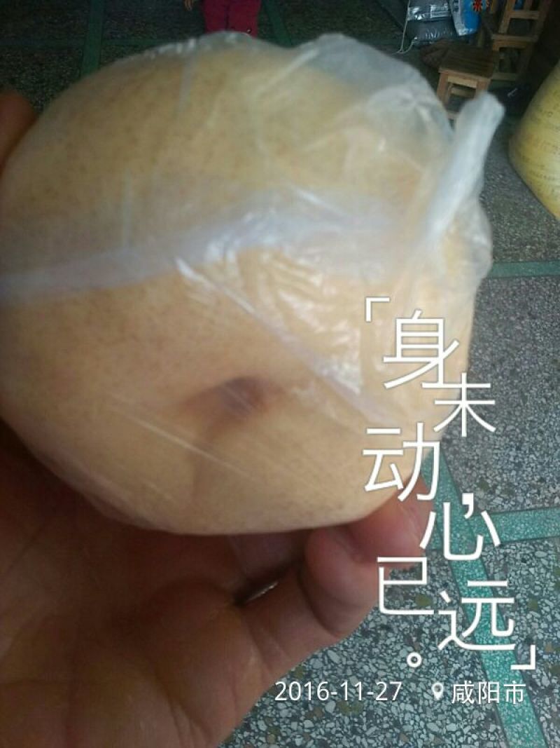 礼泉酥梨150~200g纸箱