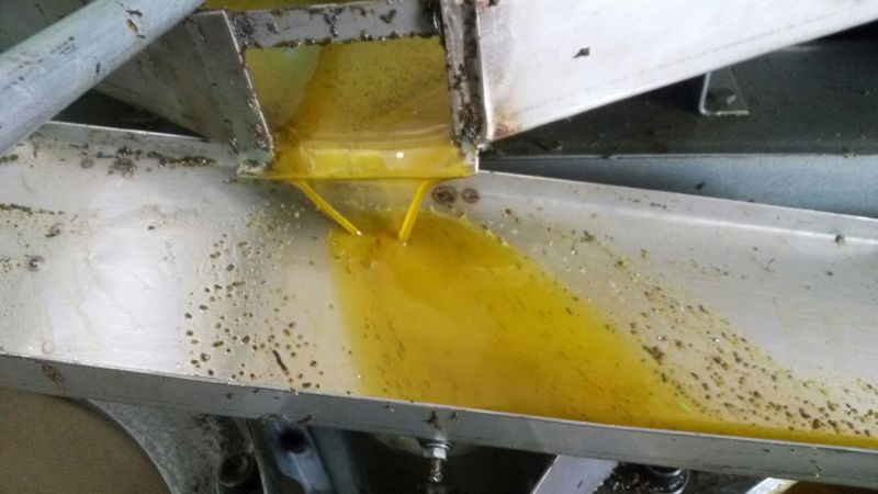 压榨菜籽油一级