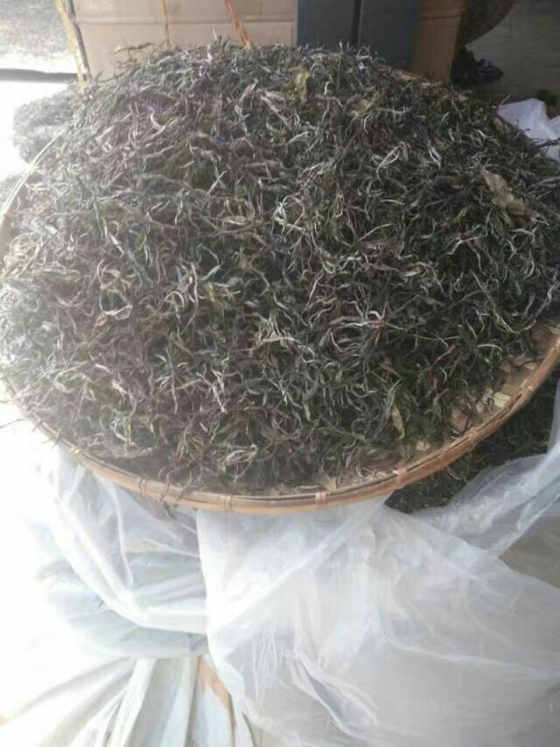 普洱茶