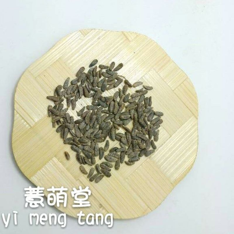 牛籽