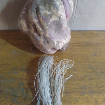 红薯粉条