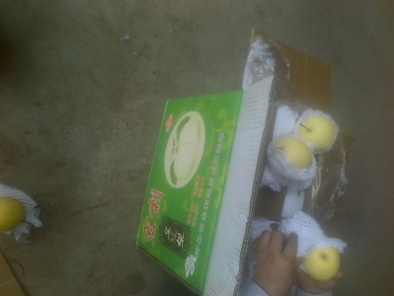皇冠梨300~350g纸箱