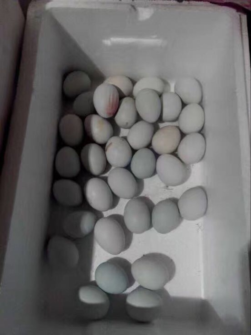 土鸡蛋