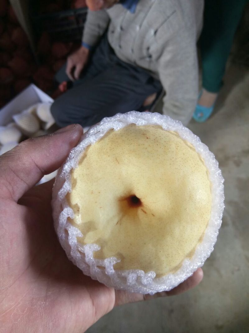 酥梨200~250g纸袋