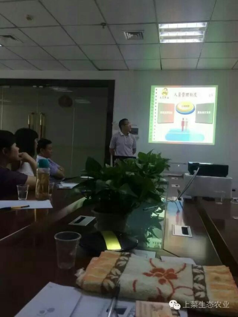 白萝卜2~2.5斤起
