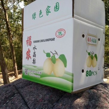 鸭梨250~300g纸加膜