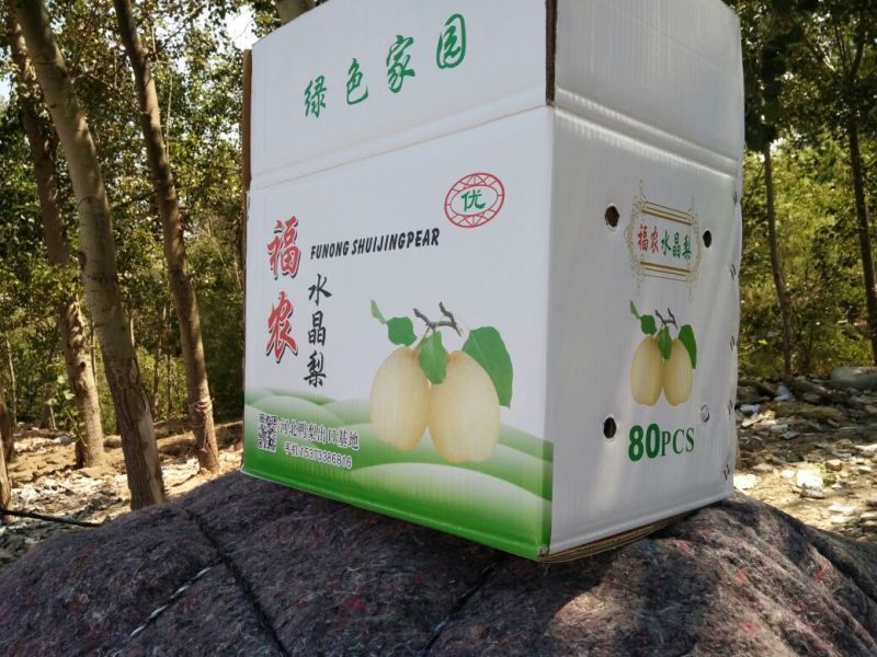 鸭梨250~300g纸加膜