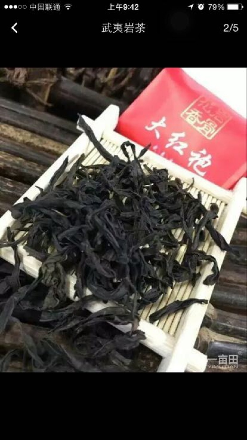 武夷岩茶