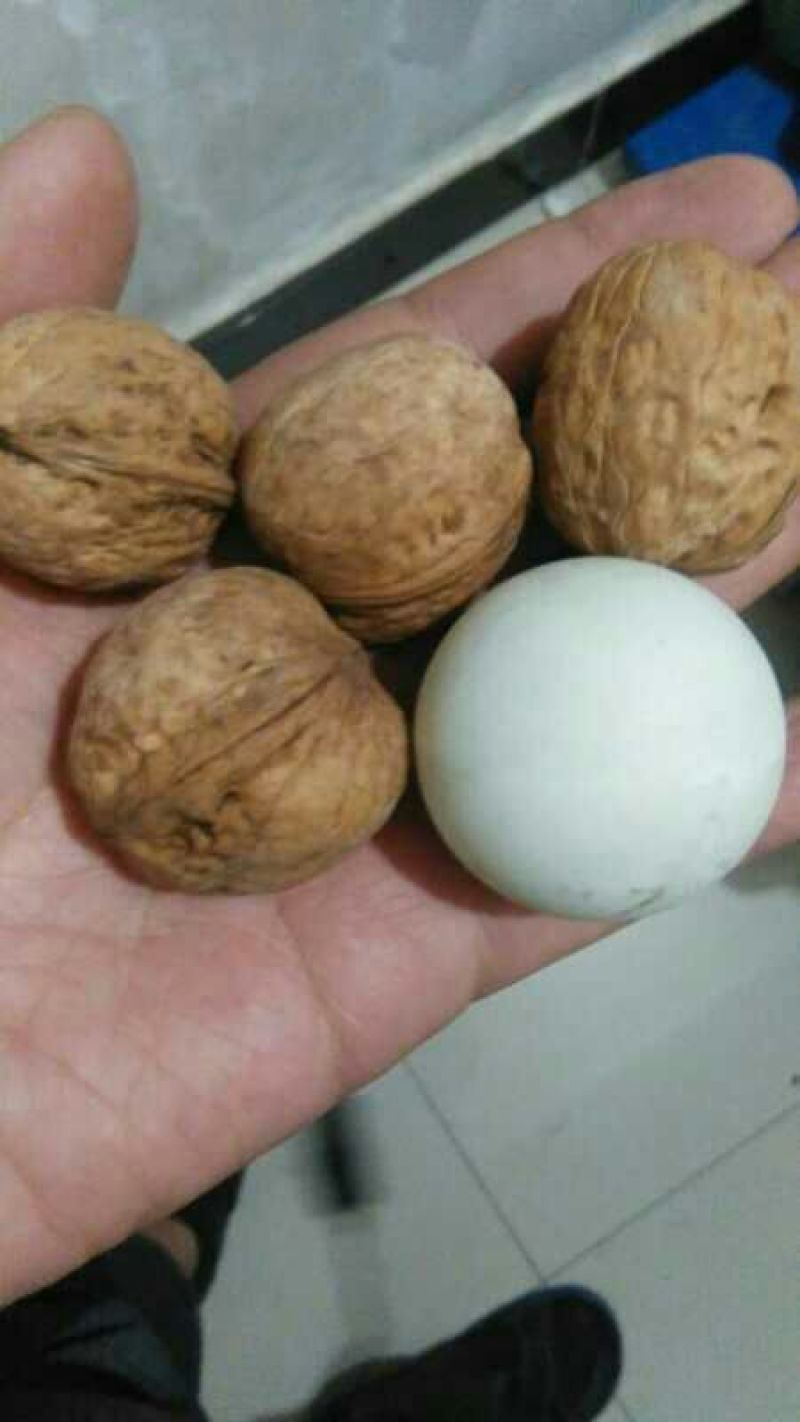 核桃去皮干