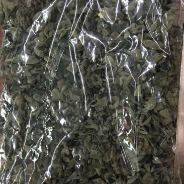 干木耳