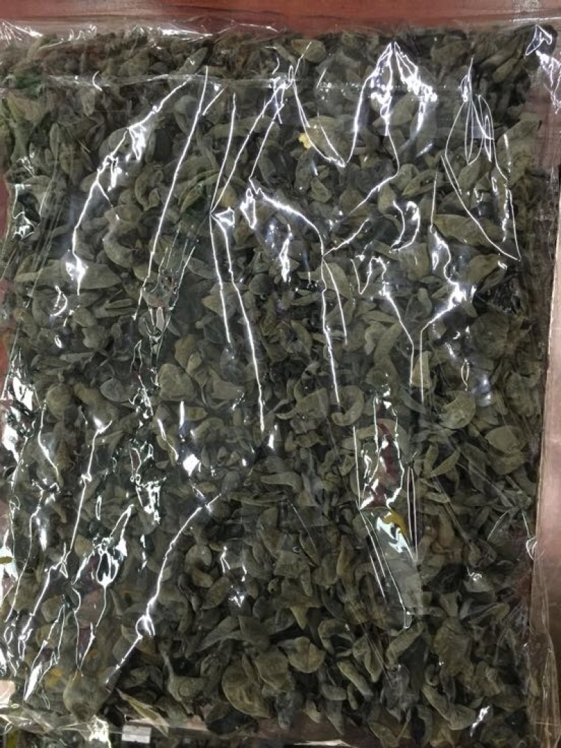 干木耳