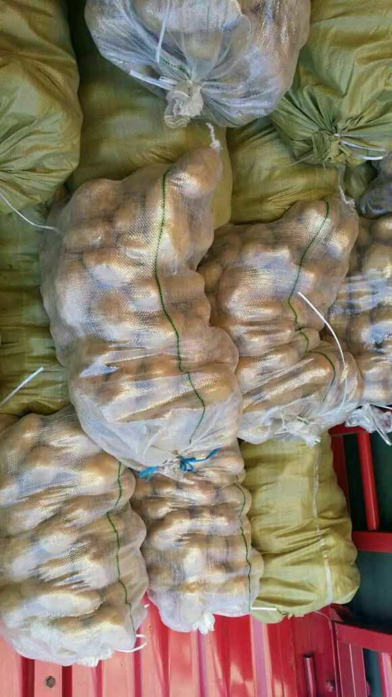 荷兰十五土豆3两以上大量供应各种规格品质的货源。