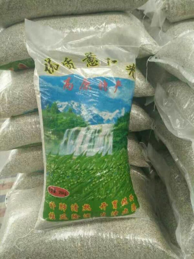薏仁