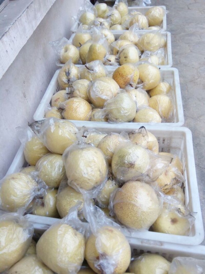 贡梨300~350g膜袋