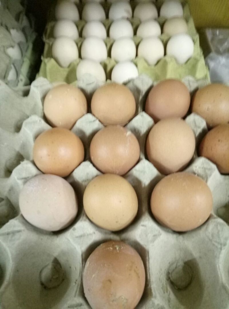 普通鸡蛋食用50~60g
