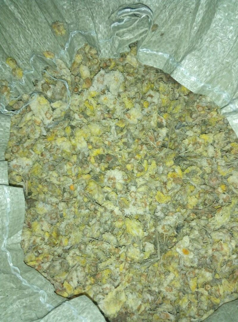 怀菊花袋装