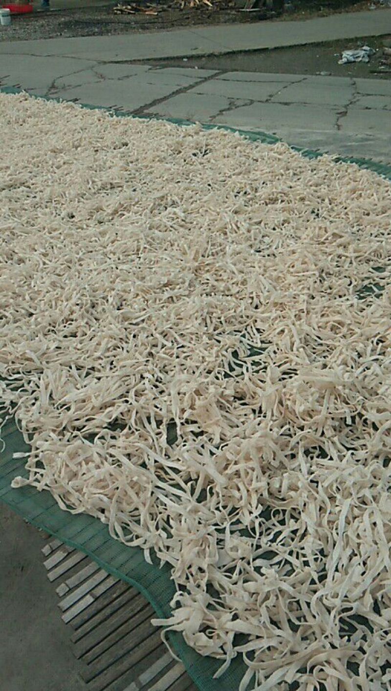 豆腐皮