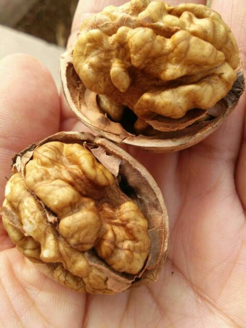 薄皮核桃30mm以上去皮干