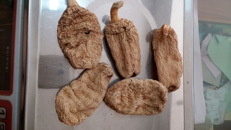 野生天麻一级，产地；世界天麻原产地昭通小草