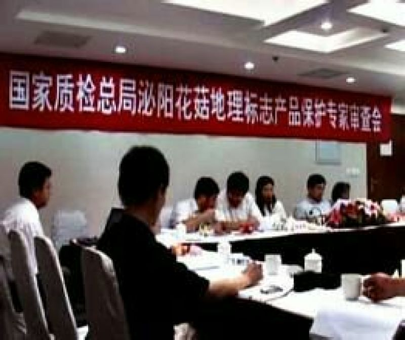 808香菇3cm以上
