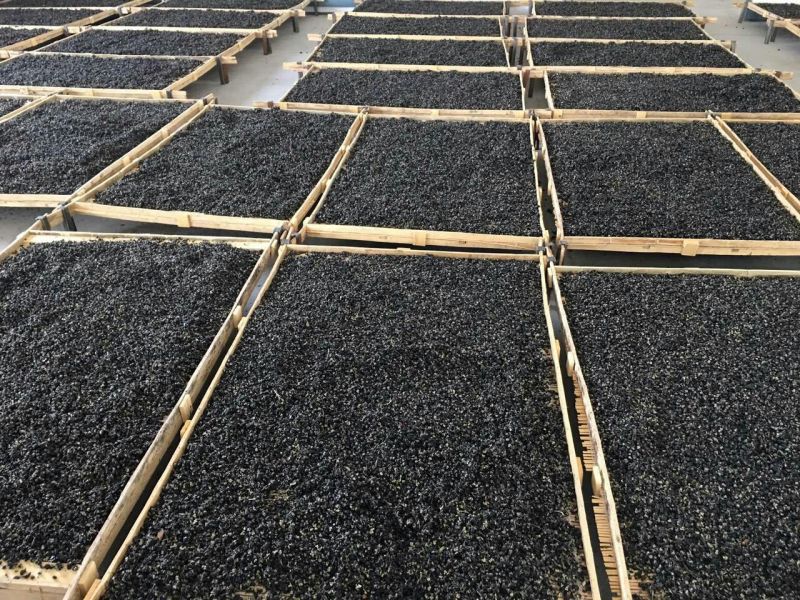 黑枸杞二茬干货