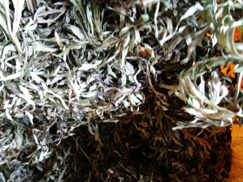 艾草，鲜艾，干艾，全科艾，纯艾叶，量大从优，欢迎咨询订