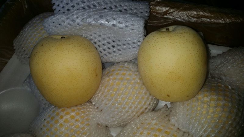 皇冠梨