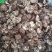 核桃仁云南大泡核桃仁现剥现发