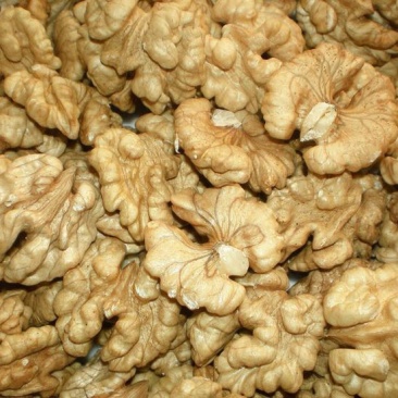 核桃仁