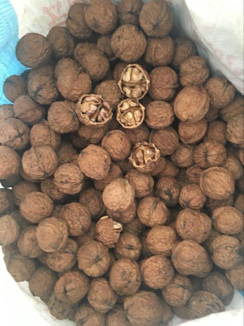 薄皮核桃30mm以上去皮干