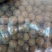 香玲核桃30mm以上去皮干
