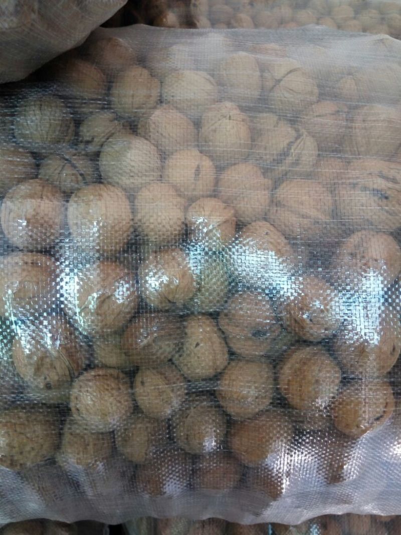 香玲核桃30mm以上去皮干