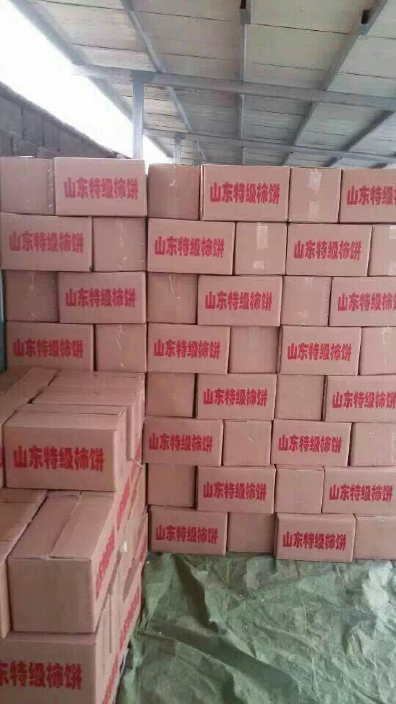 独立包装柿饼优质柿饼吊柿饼批发零售量大从优