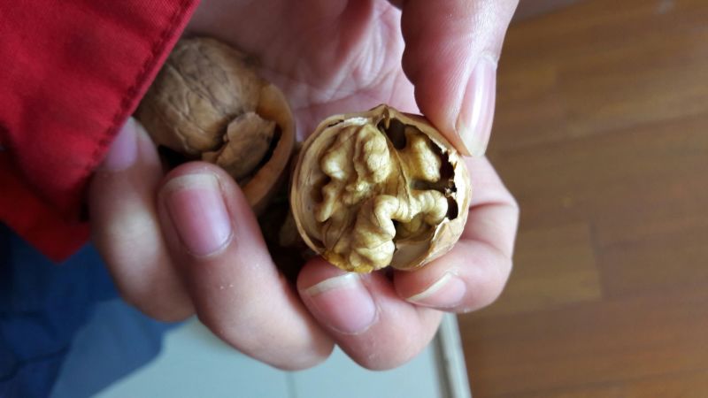 核桃去皮干