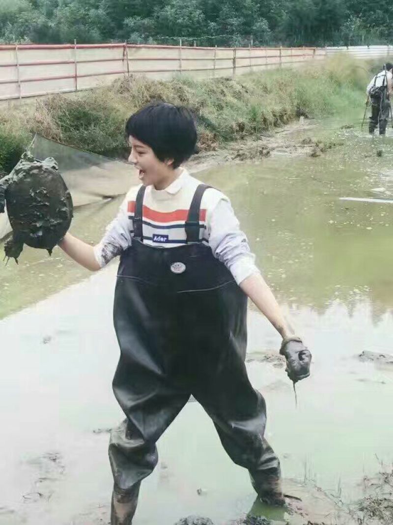 生态甲鱼2~2.5斤