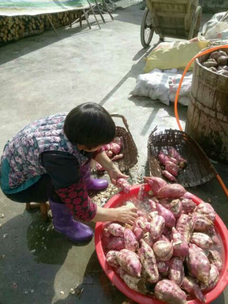 红薯粉面颗粒