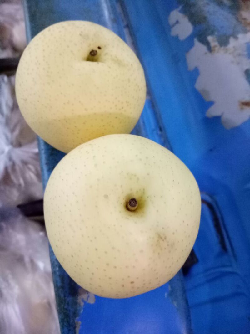 皇冠梨300~350g纸加膜