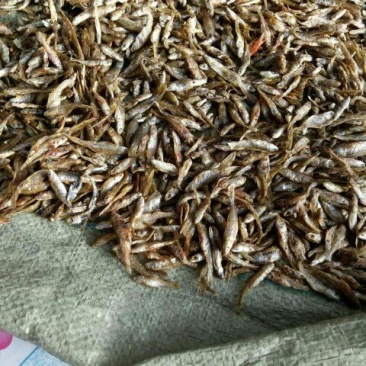 鱼干烤鱼干