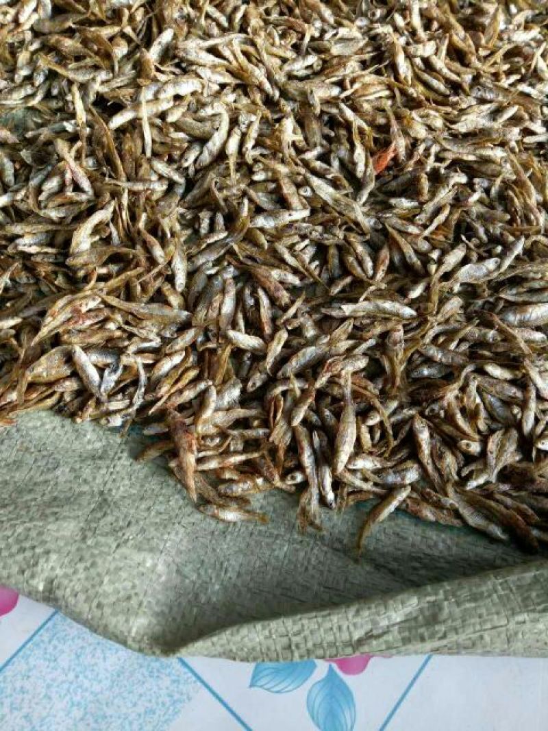 鱼干烤鱼干
