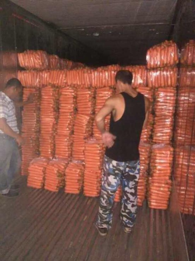 大红品种，，杂交胡萝卜可视频看货提供各种包装，