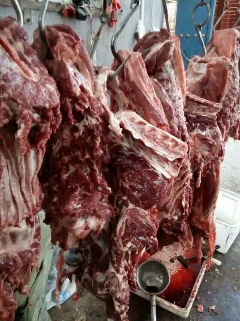 驴肉鲜货