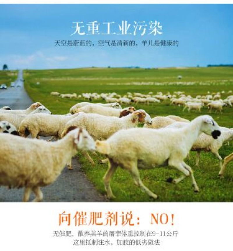羊后腿绵羊肉是