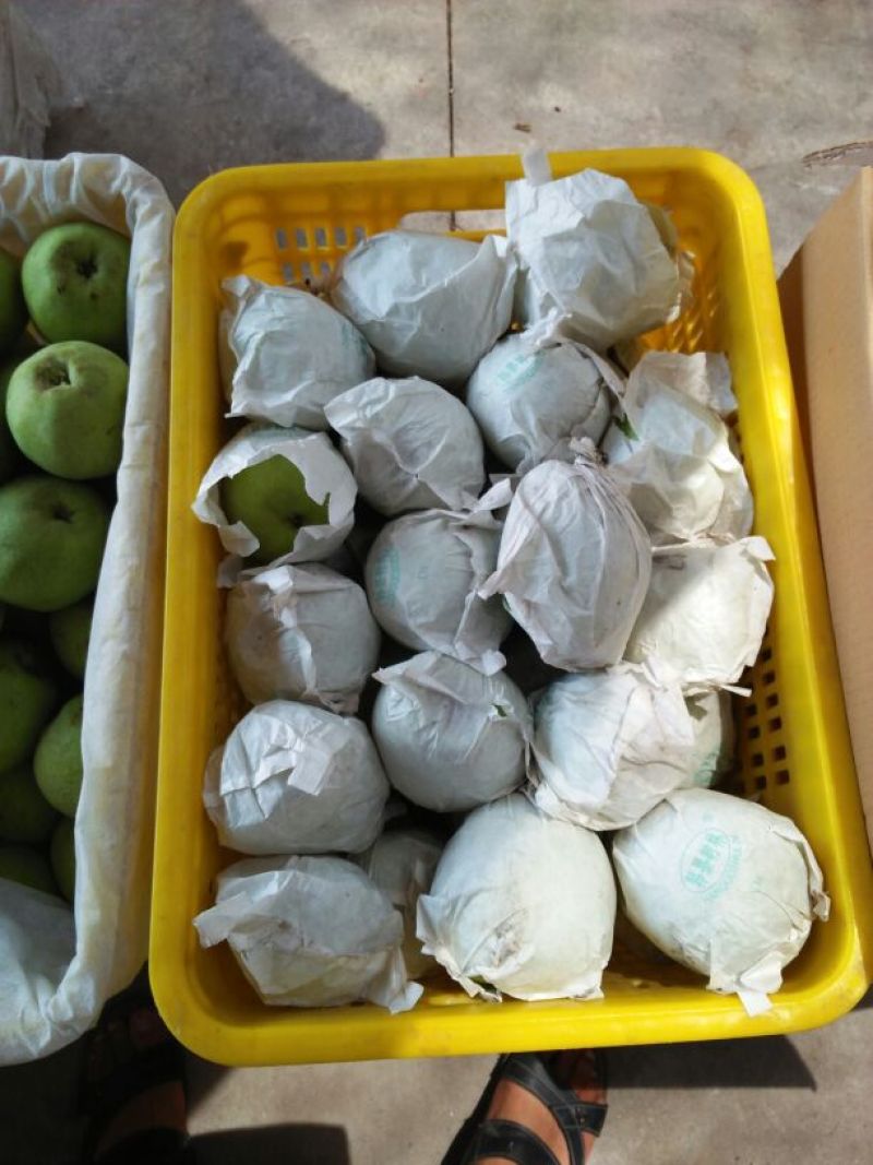 金花梨200~250g筐装