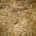 河虾活虾26~30只/kg
