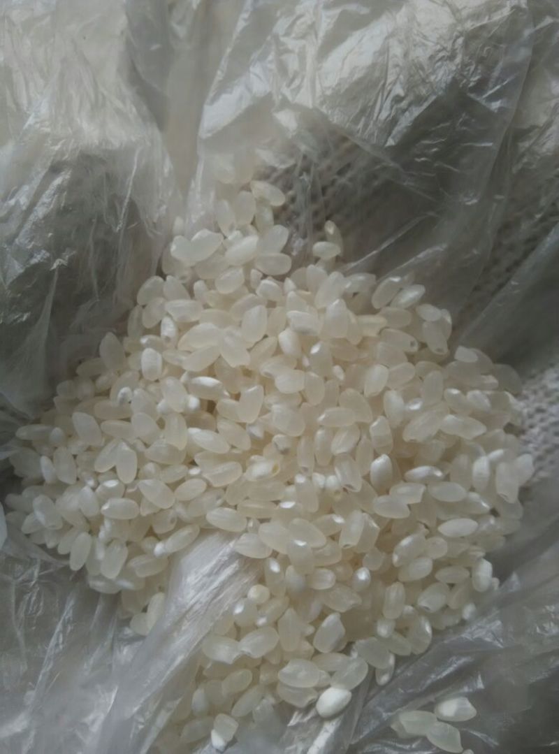 粳米